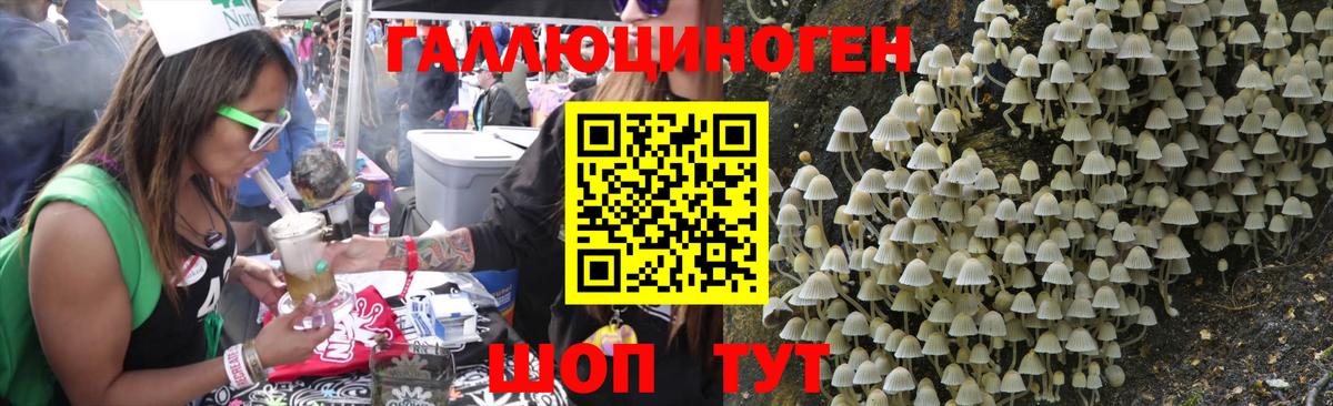 Псилоцибиновые грибы MAGIC MUSHROOMS Зеленогорск